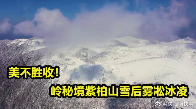 探索无限潜能,加入一个公司即将要倒闭的征兆是什么?知识星球平台